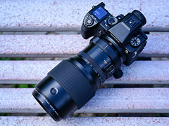 感受中画幅的极致魅力 富士GFX50S搭配GF250mm F4R镜头拍摄体验