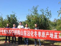 一周横跨3000公里 解读双十一苏宁拼购的生鲜战略