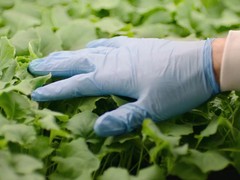 峰会前瞻｜如果吃都成了问题，世界文明还怎么前进？