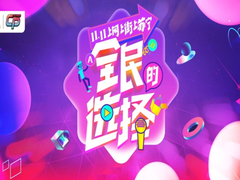 双十一剁手不纠结   《全民的选择》包你做苏宁幸运大狮