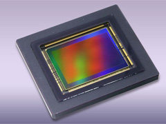 这是什么操作？佳能新款APS-C画幅机型将采用索尼传感器