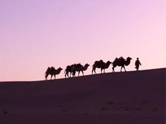 阿布扎比有一个“智慧港口”