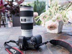 浓缩是精华 与佳能EF 70-200 f4 IS II USM的美好一天