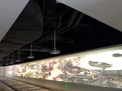 云上贵州 NEC为数谷小镇插上“智慧翅膀”