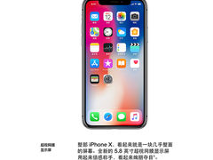 苹果iPhone XS Max 美版有锁版 