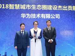 华为“平台+生态”硕果累累 背后的密码是什么？