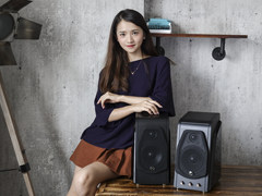 6.5寸低频享受 惠威M300音箱2999元热销中