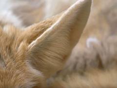 专为设计师打造 聊一款15.6英寸专业级笔记本