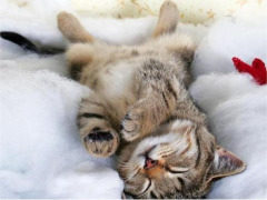 睡觉的时间都去哪儿了？ 国家统计局：都用来上网了