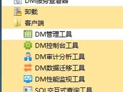 DM8新特性及初次体验