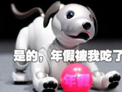 猝不及防!索尼中国官微吐槽:入职1年半没年假 网友心疼：不要开除小编