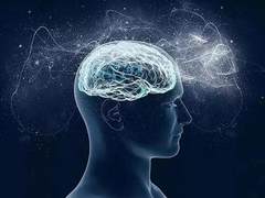 助阵中国脑计划 浪潮为清华大学高分辨率技术摄像仪器提供5PB存储支持