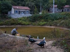 回农村养老——索尼A7RM3