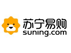 人大代表张近东“两会”建言：农村消费升级也需“+互联网”