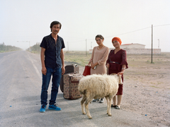 2019SWPA专业组入围名单揭晓 五位中国摄影师入围