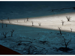 索尼全画幅微单A7RM3 带你记录美妙的瞬间