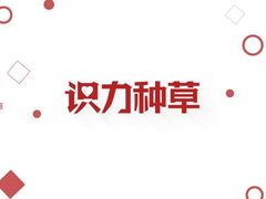 全网火爆的三款轻薄本都有怎样的带货流量？