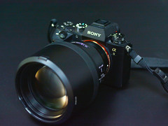 对焦性能提升显著 索尼A9固件升级体验评测