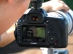 受手机逼迫？佳能下调全年利润预期20%