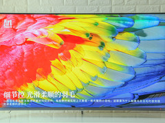 TCL 55C66全场景AI电视图赏：高颜值全面屏，让生活更艺术