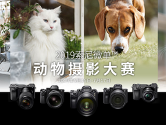 2019索尼微单动物摄影大赛开启