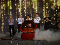 南大通用的“凤凰涅槃”