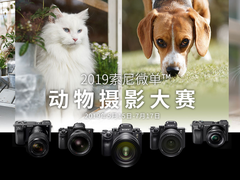 真正逆天“黑科技” 实测索尼A7M3实时动物眼部对焦