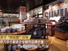 苏宁拼购试水定制智能家电：让消费者