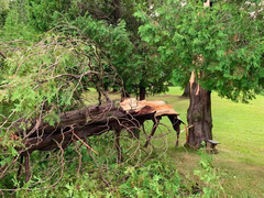 极限挑战！断电三天，iPhone“低电量模式”能挺住吗？