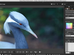 佳能发布新版本照片编辑器，支持更多机型，图片编辑更方便！