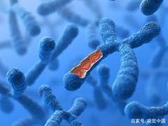 探寻五千年历史变迁，浪潮AI加速中国考古DNA研究
