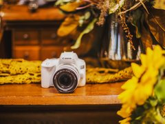 高颜值“摄影担当”：迷你单反EOS 200DII旅拍映像