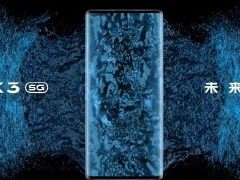 终于等到你！vivo NEX 3实现相机功能自定义，强迫症福音！