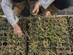 惠普携手世界自然基金会，为森林保护贡献力量