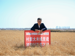 1101超级拼购日 庆安“拼购村”单日成交216万