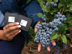 英特尔利用物联网实时跟踪技术 为你的食物保驾护航