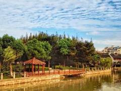 Σco领导力 | 落地“1+5+1”，青浦与华为共建新型智慧城市