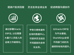 Oracle ERP云与跨国家电企业尚科宁家并肩攻占全球市场