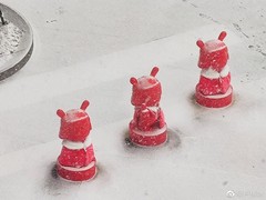 表焦能力优秀 小米10系列拍摄样张公布