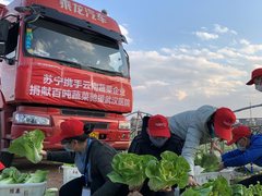 响应国家号召全力抗“疫”  苏宁保障急需物资到位