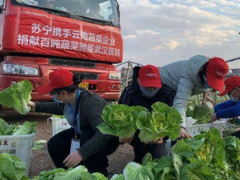 “人才共享”召集令起，苏宁战“疫”脚步不停