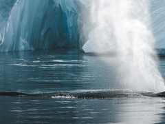 见证极致景观 储卫民聊索尼全画幅微单Alpha 7R IV