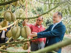 从经验到数据，苏宁推客揭秘全民营销南北消费差异
