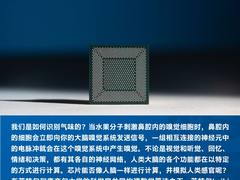 科技未来 | 计算机芯片如何拥有嗅觉？