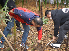 苏宁助农在行动：拼购直播帮村民创造400万元销售额