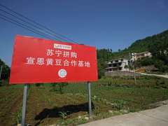 与湖北一起拼:苏宁发布援鄂13条，组团助农