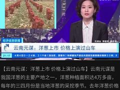 元谋洋葱滞销，网友爱心“买买买”：天天快递推动供需高效对接