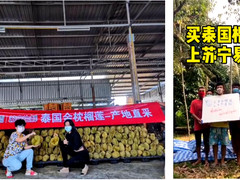 泰国农业领事直播带货：买泰国榴莲来苏宁超市、家乐福