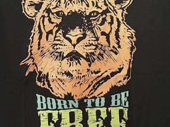 热转印“美优廉”新方法  OKI是这样炼成的