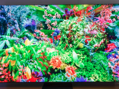 前沿科技打造未来设计 CES大放异彩的三星无边框电视终于来了